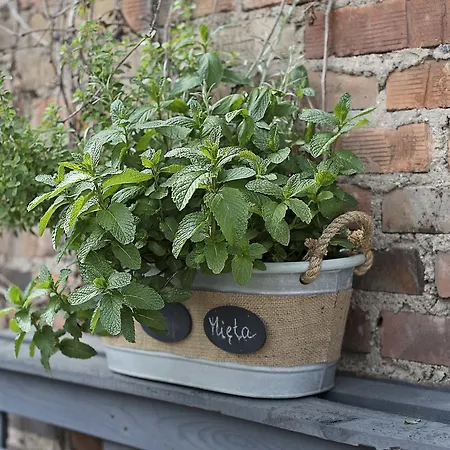 Azymut Wrzesnia (Wrzesnia)